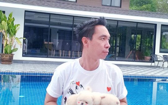 ขายหมาภูเก็ต,ขายสุนัขภูเก็ต,pom5g,dog5g,ขายปอมภูเก็ต,ขายหมาดอทคอม,พอเมอเรเนียน,ขายพอเมอเรเนียน,ฟาร์มพอเมอเรเนียน,ปอม,ยอร์คเชียร์,ชิวาว่า,หน้าหมี,ทีคัพ,teacup,ปอมเมอเรเนียน,Pomeranian phuket,ฟาร์มปอม,ฟาร์มสุนัขภูเก็ต,ฟาร์มชิวาว่า,คอกสุนัขภูเก็ต,ฟาร์มแมวภูเก็ต,Dog farm,Dog farm phuket,มอลทีส,Maltese,Siberian husky,ไซบีเรียนฮัสกี,แมวเปอร์เชียร์,Persian cat,ลาบราดอร์,Labrador Retriever,dog5G,แมวขาว,ชิสุห์,Shih Tzu,Golden retriever,Yorkshire,ยอร์คเชียร์,Siberian,ปอมหน้าหมีทีคัพ,Chihuahua,ไซบีเรียนฮัสกี,ปอมภูเก็ต,dogcatsale,ชิวาว่าภูเก็ต