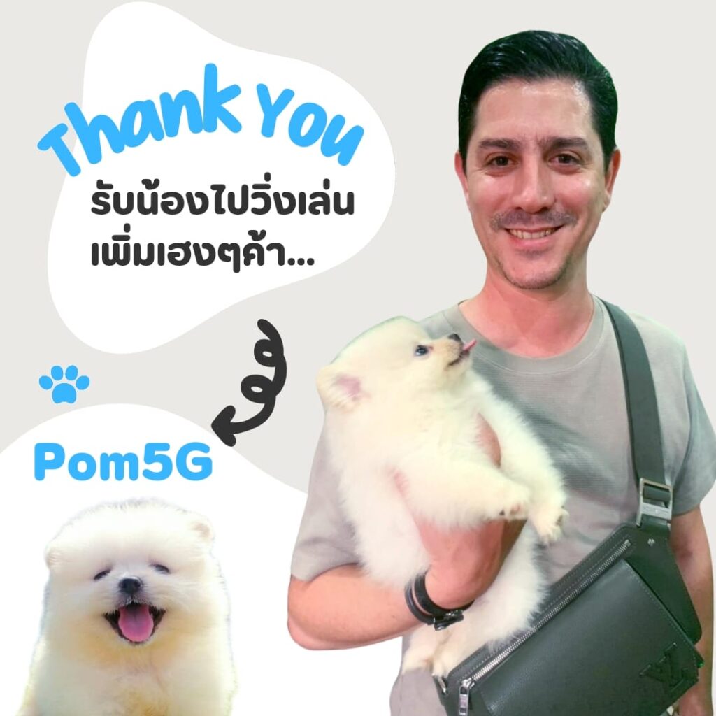 ขายปอมทีคัพถูก,ขายPom fancyราคาถูก,ขายปอมTcup,ขายหมาภูเก็ต,ขายสุนัขภูเก็ต,pom5g,dog5g,ขายปอมภูเก็ต,พอเมอเรเนียน,ขายพอเมอเรเนียน,ฟาร์มพอเมอเรเนียน,ปอม,ยอร์คเชียร์,ชิวาว่า,หน้าหมี,ทีคัพ,teacup,ปอมเมอเรเนียน,Pomeranian phuket,ฟาร์มปอม,ฟาร์มสุนัขภูเก็ต,ฟาร์มชิวาว่า,คอกสุนัขภูเก็ต,ฟาร์มแมวภูเก็ต,Dog farm,Dog farm phuket,มอลทีส,Maltese,Siberian husky,ไซบีเรียนฮัสกี,แมวเปอร์เชียร์,Persian cat,ลาบราดอร์,Labrador Retriever,dog5G,แมวขาว,ชิสุห์,Shih Tzu,Golden retriever,Yorkshire,ยอร์คเชียร์,Siberian,ปอมหน้าหมีทีคัพ,Chihuahua,ไซบีเรียนฮัสกี,ปอมภูเก็ต,dogcatsale,ชิวาว่าภูเก็ต